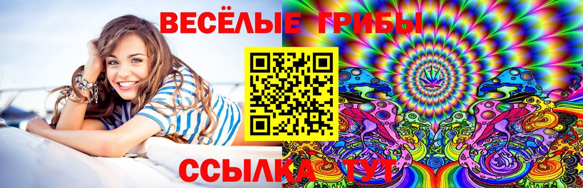Лениногорск  как найти   Псилоцибиновые грибы мухоморы  Вход с VPN  Галлюциногенные грибы прущие грибы 