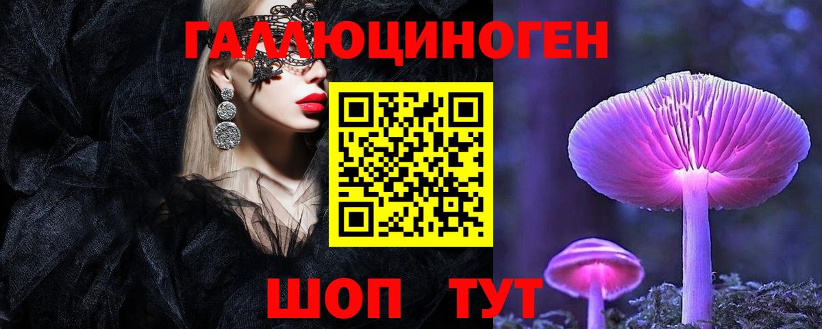 Псилоцибиновые грибы Cubensis Лениногорск